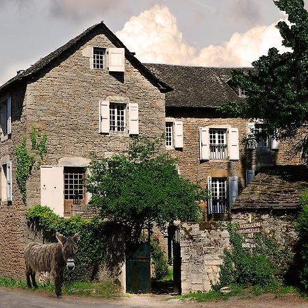 Maison D'Hotes La Singuliere Sévérac-le-Château Екстериор снимка